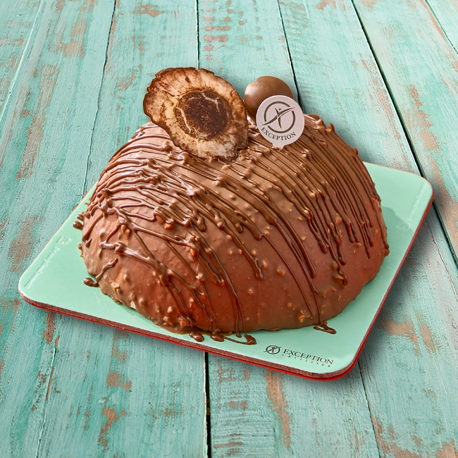 تورته شوكولاته روشيه - هاف بول - مقاس 20 - حلواني اكسبشن  - مصر 